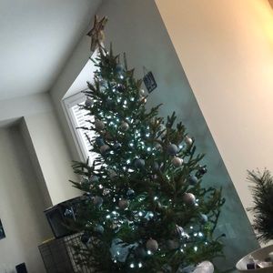 Meet your Posher, Eva